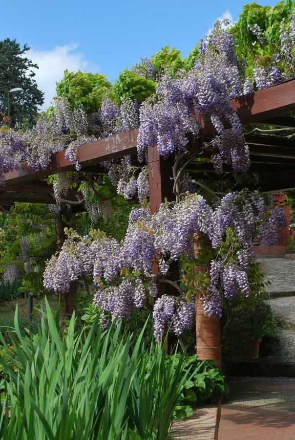Casa ai Pini Panzano in Chianti Exterior foto